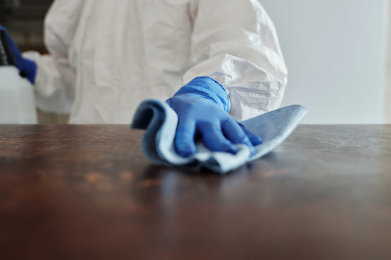 5 Food-Borne Pathogens and Their Health Risks | enviro-safe.co.za