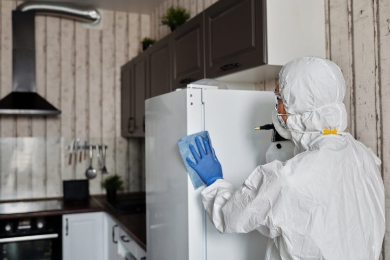 How Often Should You Use Professional Deep Cleaning Services? | Enviro-Safe - South Africa