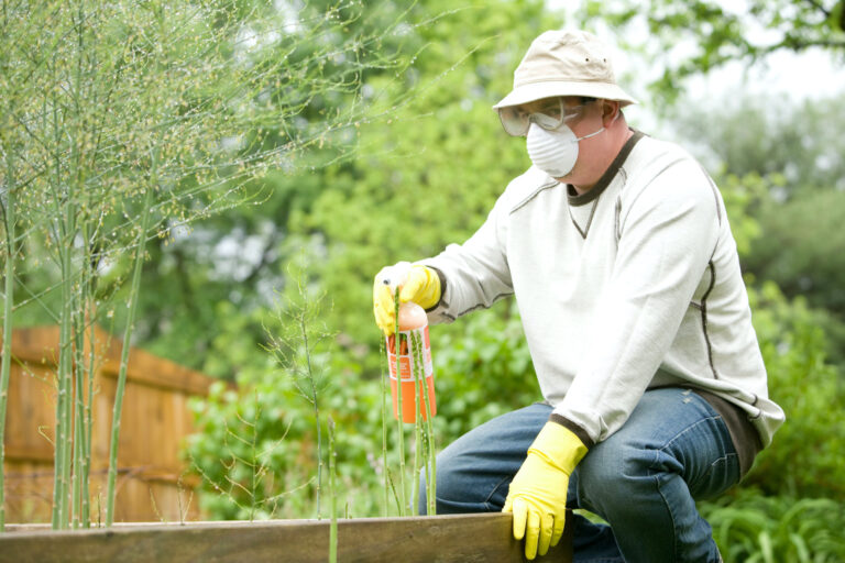 Who is Responsible for Pest Control? | blog | enviro-safe.co.za
