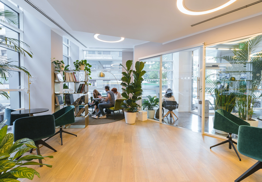 Hygiene Standards To Set In Your Office To Deter Pests