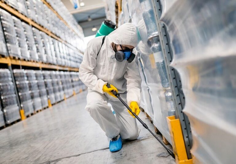 Pest Control Requires Professional Intervention - blog | enviro-safe.co.za