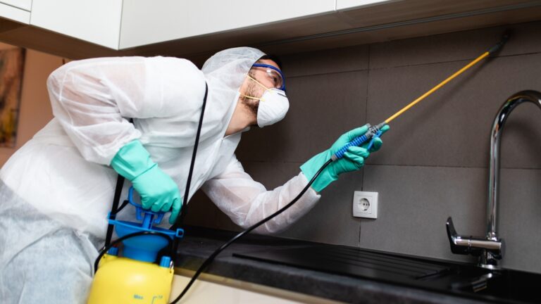 Why Pest Control Should Not Be Ignored This Winter - blog | Enviro-Safe
