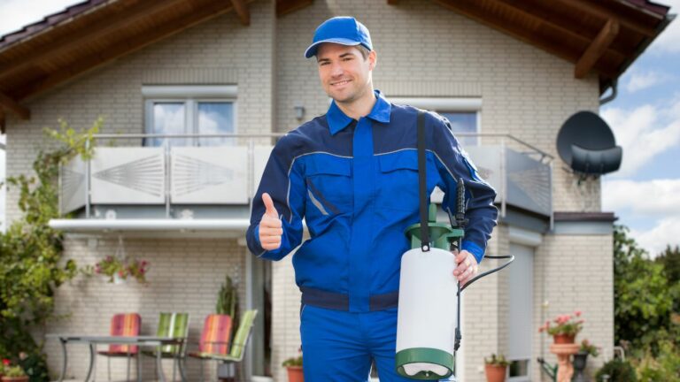 An Environmentally-Friendly Approach To Pest Control - blog | enviro-safe.co.za