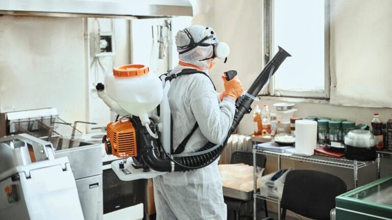 Maintaining Hygiene Standards for Food-related Businesses - blog | enviro-safe.co.za