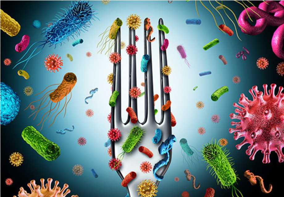 Battle Foodborne Bacteria With These Tips
