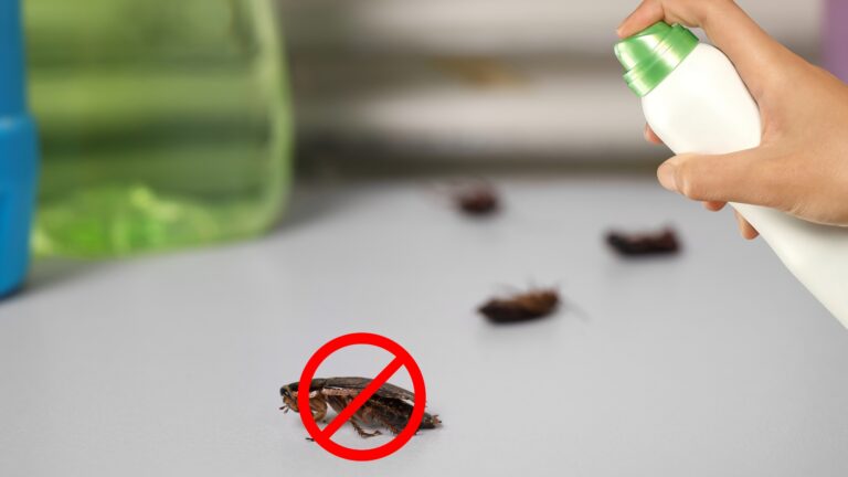 Practical Advice for Pest-Free Industrial Facilities - blog | enviro-safe.co.za