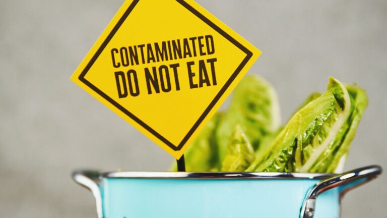 Addressing Insect-Mediated Food Contamination | enviro-safe.co.za