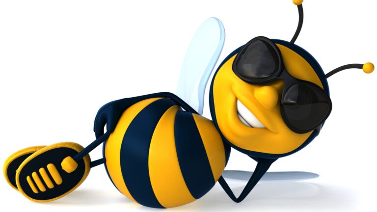 Ethical Pest Control for Bees | enviro-safe.co.za