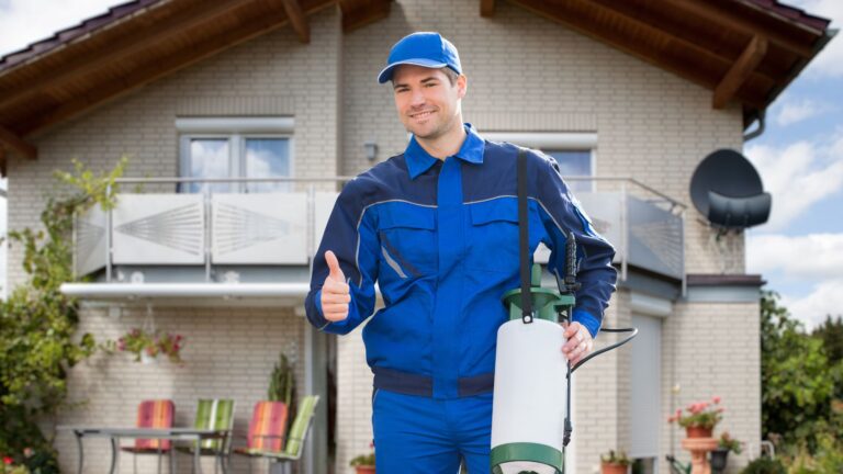 Exploring the Importance Non-Toxic Pest Control | enviro-safe.co.za